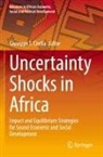 Giuseppe T. Cirella, Giuseppe T Cirella - Uncertainty Shocks in Africa