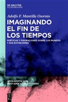 Adolfo Felipe Mantilla Osornio - Imaginando el fin de los tiempos