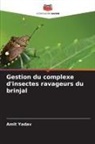 Amit Yadav - Gestion du complexe d'insectes ravageurs du brinjal