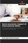 Aimé-Noël Muisha Kaneno - Socio-economic impact of international NGOs