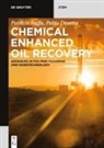 Pablo Druetta, Patrizio Raffa - Chemical Enhanced Oil Recovery