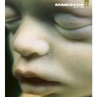 Rammstein - Mutter, 1 Audio-CD (Digipak) (Audio book)