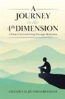 Chandulal Jivandas Rughani - A Journey in the 4th Dimension