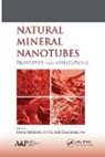 G Jock Churchman, Pooria Pasbakhsh - Natural Mineral Nanotubes