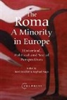Roni (Senior Research Fellow Stauber, Roni Stauber, Raphael Vago - Roma - A Minority in Europe