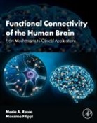 Massimo Filippi, Filippi Massimo, Maria A. Rocca, Maria Assunta Rocca, Maria Assunta Rocca - Functional Connectivity of the Human Brain
