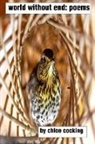 Chloe Cocking - world without end