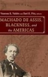 Vanessa K. (EDT)/ Fitz ValdTs, Earl E Fitz, Fitz Earl E., Vanessa K Valdés, Vanessa K. Valdés - Machado De Assis, Blackness and the Americas