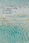 Dirk Wiemann - Anglophone Verse Novels as Gutter Texts