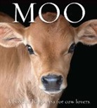 Angus St John Galloway - Moo