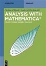 Galina Filipuk, Andrzej Koz¿owski, Andrzej Kozlowski - Galina Filipuk; Andrzej Kozlowski: Analysis with Mathematica® - Volume 1: Single Variable Calculus
