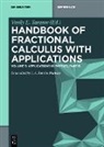 Vasily E Tarasov, Vasily E. Tarasov - Handbook of Fractional Calculus with Applications - Volume 5: Applications in Physics, Part B