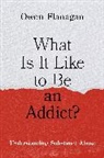 Owen Flanagan, Owen (James B. Duke Distinguished Univer Flanagan, Flanagan Owen - What Is It Like to Be an Addict?