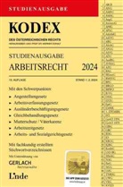 Werner Doralt - KODEX Studienausgabe Arbeitsrecht 2024