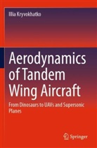 Illia Kryvokhatko - Aerodynamics of Tandem Wing Aircraft
