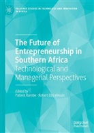 Ebo Hinson, Robert Ebo Hinson, Patient Rambe - The Future of Entrepreneurship in Southern Africa