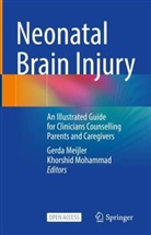 Gerda Meijler, Mohammad, Khorshid Mohammad - Neonatal Brain Injury