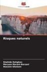 Shahide Dehghan, Hossein Gholami, Maryam Marani-Barzani - Risques naturels
