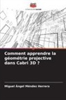 Miguel Ángel Méndez Herrera - Comment apprendre la géométrie projective dans Cabri 3D ?