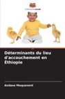 Ambaw Mequanent - Déterminants du lieu d'accouchement en Éthiopie