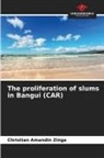 Christian  Amandin Zinga, Christian Amandin Zinga - The proliferation of slums in Bangui (CAR)