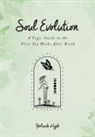 Yolande Hyde - Soul Evolution - a Yogic Guide to the First Six Weeks After Birth