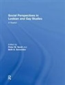 Peter M Nardi, Peter M. Nardi, Beth E Schneider, Beth E. Schneider - Social Perspectives in Lesbian and Gay Studies