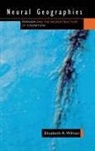 Elizabeth A Wilson, Elizabeth A. Wilson - Neural Geographies