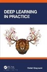 Mehdi Ghayoumi - Deep Learning in Practice