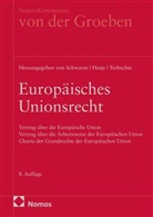 Hans von der Groeben, Armin Hatje, Armin Hatje u a, Jürgen Schwarze, Jürgen Schwarze u a, Jörg Philipp Terhechte - Europäisches Unionsrecht