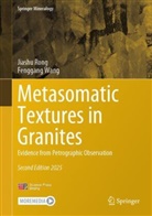 Jiashu Rong, Fenggang Wang - Metasomatic Textures in Granites