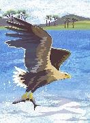 Jane Smith - Nature Notebook: Sea Eagle
