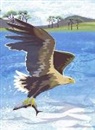 Jane Smith - Nature Notebook: Sea Eagle