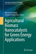Kumar Rai, Ashutosh Kumar Rai, Manish Srivastava - Agricultural Biomass Nanocatalysts for Green Energy Applications