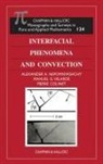 Pierre Colinet, Colinet Pierre, Alexander A Nepomnyashchy, Alexander A. Nepomnyashchy, Nepomnyashchy Alexander A., Manuel G Velarde... - Interfacial Phenomena and Convection