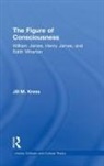 Jill M Kress, Jill M. Kress, Kress Jill M. - The Figure of Consciousness