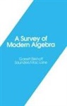 Garrett Birkhoff, Saunders Mac Lane - A Survey of Modern Algebra