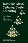 Paul J Dyson, Paul J. Dyson, Dyson Paul J., J Scott McIndoe, J. Scott Mcindoe, McIndoe J. Scott - Transition Metal Carbonyl Cluster Chemistry