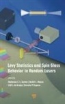 Cid B de Araújo, Anderson S L Gomes, André L Moura, Ernesto P Raposo - Lévy Statistics and Spin Glass Behavior in Random Lasers