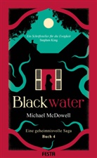 Michael Mcdowell - BLACKWATER - Eine geheimnisvolle Saga - Buch 4