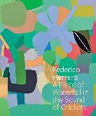 Federico Herrero, Bernardo Gonzalez Mosqueira, Elena Ketelsen González, Bernardo Mosqueira - Federico Herrero: A Piece of Waterfall in the Sound of Crickets