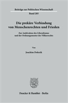 Joachim Dolezik - Die prekäre Verbindung von Menschenrechten und Frieden.