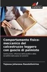 Tojosoa Johanesa Rasolofonirina - Comportamento fisico-meccanico del calcestruzzo leggero con guscio di palmisto