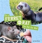 Cara Krenn - Is a Ferret or a Rat the Pet for Me?