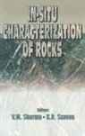 K R Saxena, K. R. Saxena, K.R. Saxena, V M Sharma, V. M. Sharma, V.M. Sharma - In-situ Characterization of Rocks