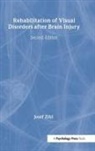 Josef Zihl - Rehabilitation of Visual Disorders After Brain Injury