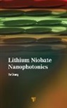 Ya Cheng - Lithium Niobate Nanophotonics