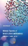 Junko Habasaki - Molecular Dynamics of Nanostructures and Nanoionics