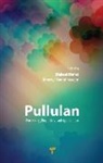 Shakeel Ahmed, Aisverya Soundararajan - Pullulan