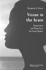 P G Simos, P. G. Simos, P.G. Simos - Vision in the Brain